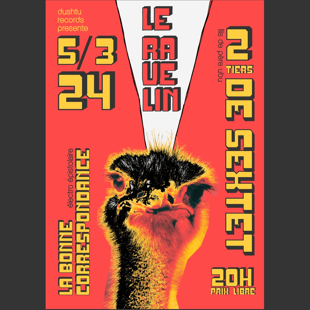 Affiche couleur du concert au Ravelin  Toulouse